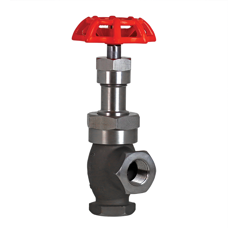 Globe Valve