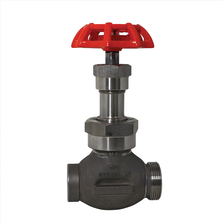 Globe Valve