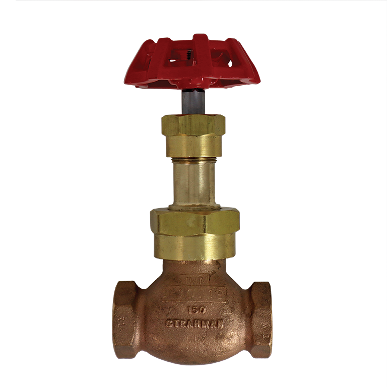 Globe Valve