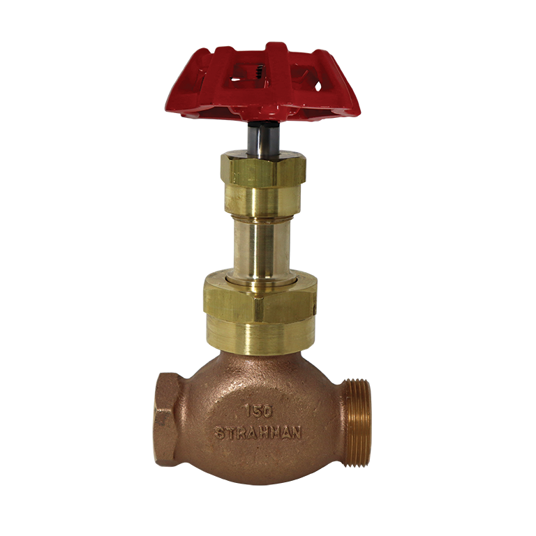 Globe Valve